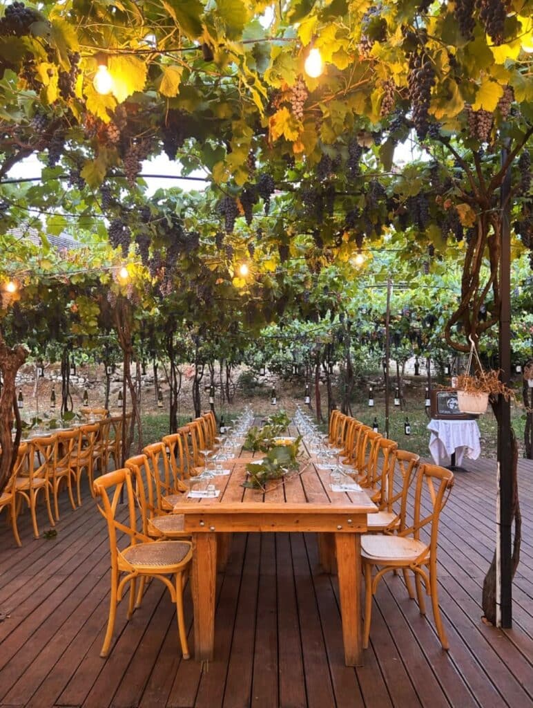 Wine table ready for tatsing at Alpeta Wine - Berat, Albania